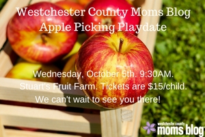 westchester-county-moms-blog-apple-picking-playdate