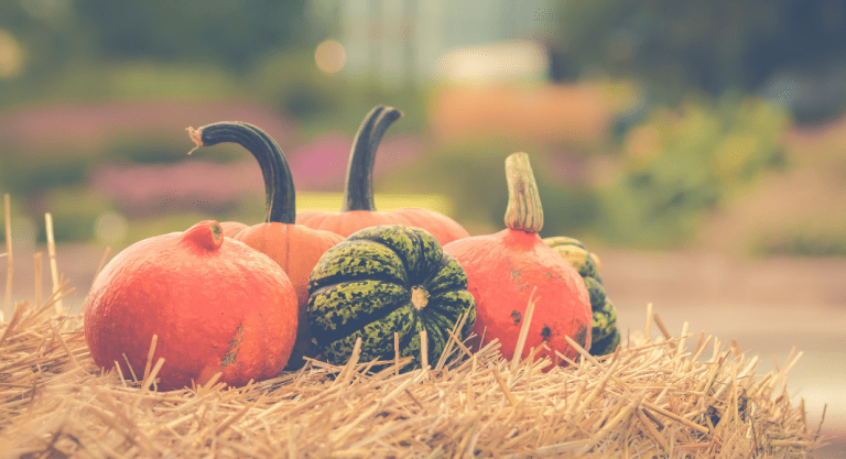 The Westchester Mom’s Guide to October