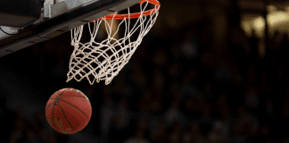 The Westchester Knicks Bring More than Pro Basketball to the County Center