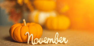 The Westchester Mom’s Guide to November A pumpkin with the word November in front of it.