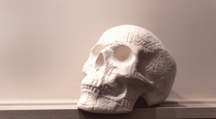 skull on a shelf.