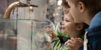 Children looking at a museum exhibit.