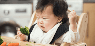 Lazy Mama Manual: Baby Led Weaning baby led weaning