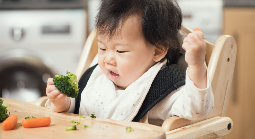 baby led weaning