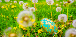 This Weekend’s Easter Egg Hunts {Weekend of April 1st} Easter egg hidden with daffodils.