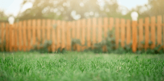 Life: The Grass Is Not Always Greener Across the Street grass is always greener