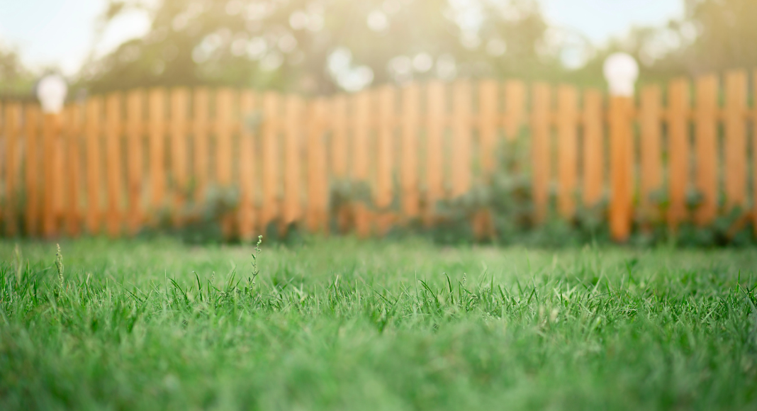 grass is always greener