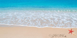 Spring Break Staycation Contest spring break on a beach