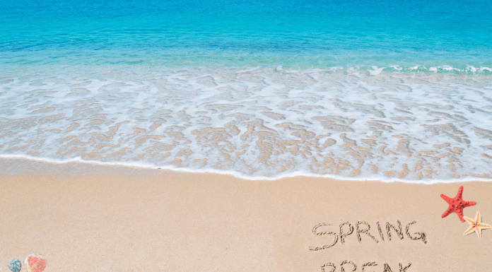 spring break on a beach