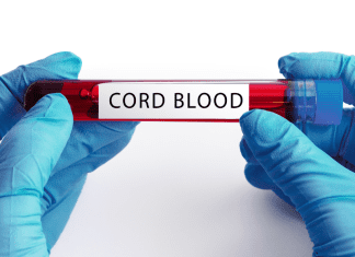 Gloved hands holding cord blood in a vial.