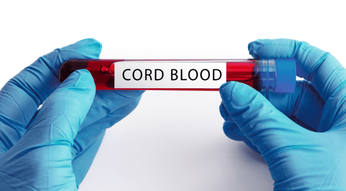 Gloved hands holding cord blood in a vial.