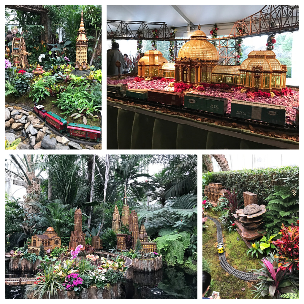 botanical garden