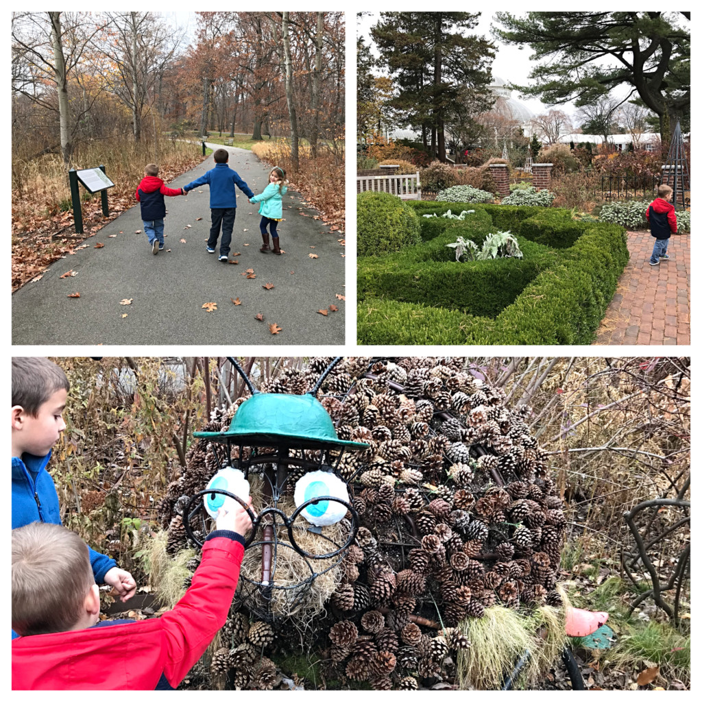 botanical garden