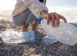 Picking up trash on the beach.