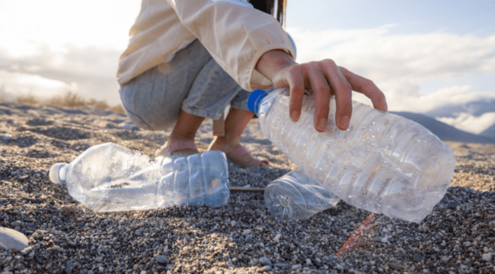 Picking up trash on the beach.