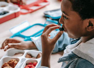 A kid eating a balanced meal for lunch.