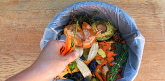 Reducing Food Waste managing food waste