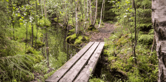 A trail at a nature center.