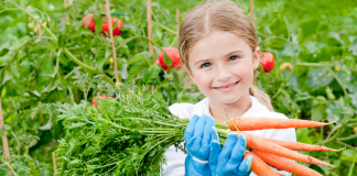The Joy of Growing Food grow your own food