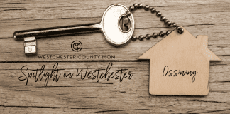 Spotlight on Westchester: Ossining