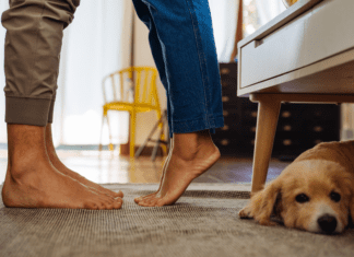 Sex and the Single Mom: I Should Have Seen the Signs A couples feet next to a dog under a chair.