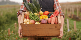 Farm fresh vegetables.