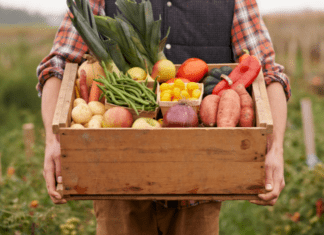 3 Local Farms You Must Visit This Month Farm fresh vegetables.