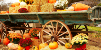 A Mom’s Guide To Westchester County Events :: October 2018 October events.