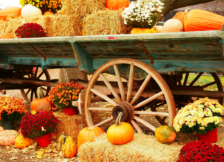 A Mom’s Guide To Westchester County Events :: October 2018 October events.