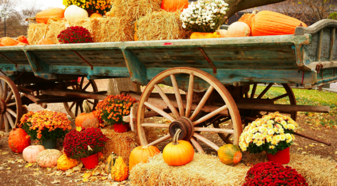 A Mom’s Guide To Westchester County Events :: October 2018 October events.