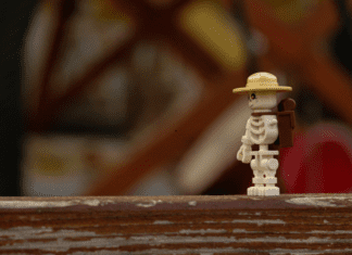 Legoland skeleton.