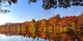 A Mom’s Guide To Westchester County Events :: November 2018