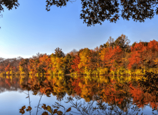 A Mom’s Guide To Westchester County Events :: November 2018