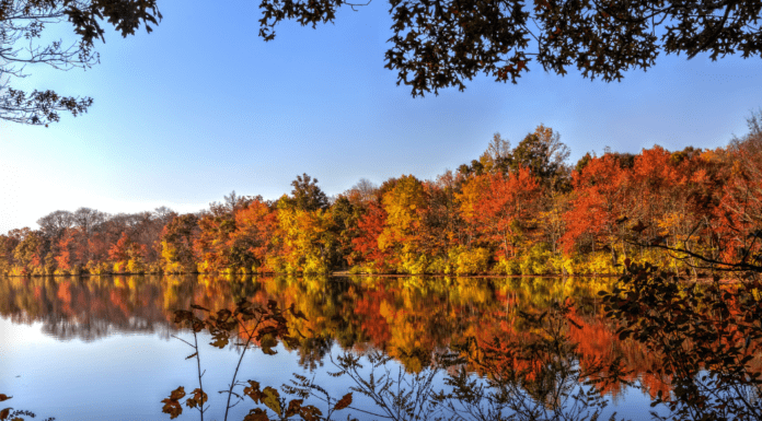 A Mom’s Guide To Westchester County Events :: November 2018