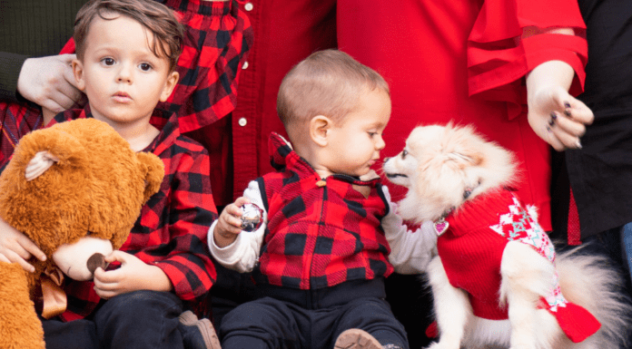 Holiday photo contest.