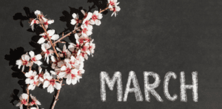 A Mom’s Guide To Westchester County Events :: March 2019 March events.