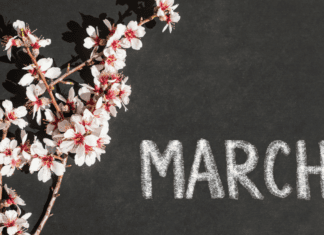 A Mom’s Guide To Westchester County Events :: March 2019 March events.