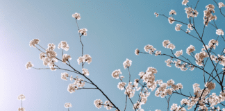 A Mom’s Guide To Westchester County Events :: April 2019 April events