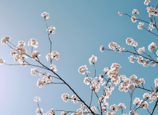 A Mom’s Guide To Westchester County Events :: April 2019 April events