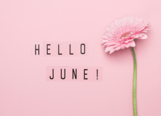 A Mom’s Guide To Westchester County Events :: June 2019 June