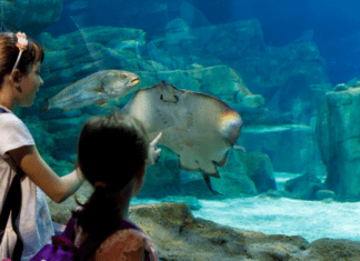 More Summer Fun! {Day Trips in CT}