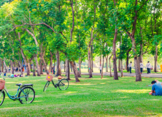 A park.