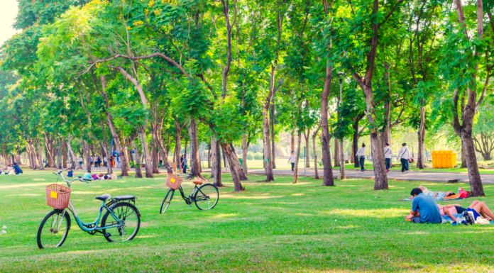 A park.