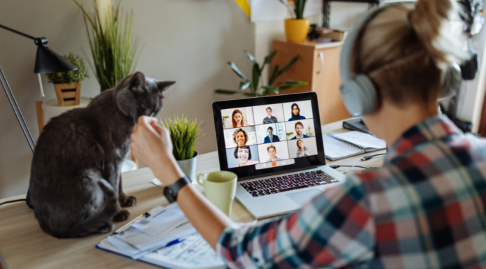 A woman on a Zoom call working from home with her cat.