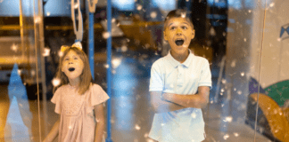 Holiday Experience Gift Ideas in Westchester County Children in awe at a children's museum.