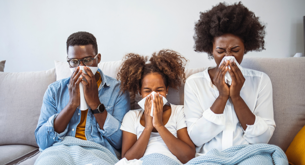 A sick family blowing their noses. 
