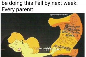 2020 Meme 27