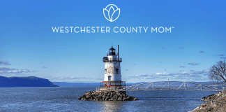 5 Free Outdoor Family Activities in Central Westchester