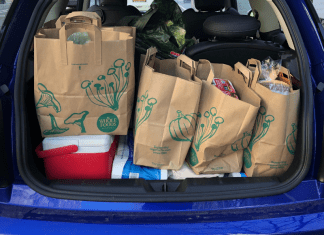 Groceries in a trunk of a car.