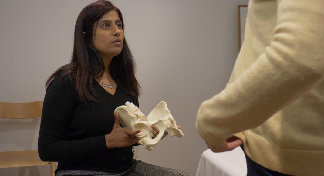 pelvic floor